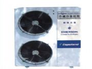 ��ʽ�������